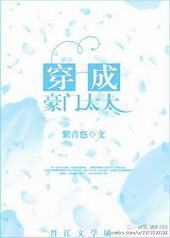 ���ɺ���̫̫