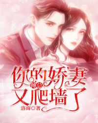 ���ܣ���Ľ�������ǽ��