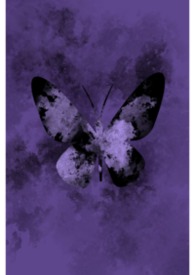 ����֮��(np��