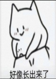 �Ǹ�������Ū���к�